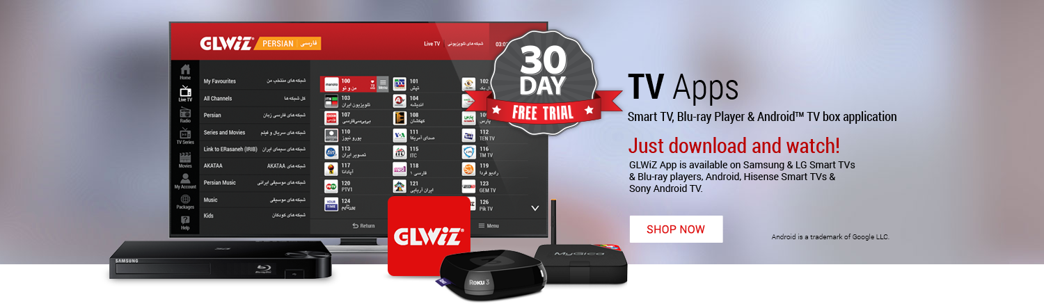 Glwiz tv subscription
